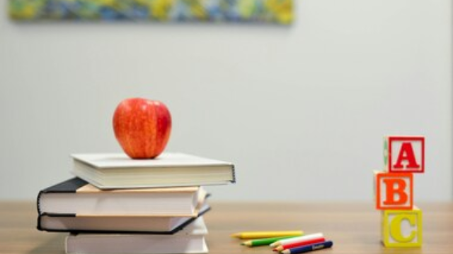 Nederland en Vlaanderen werken hard aan beter onderwijs, maar op een hele andere manier