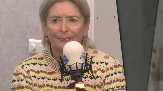 Oud-minister Ter Horst: 'Er moet op links een nieuwe beweging komen'