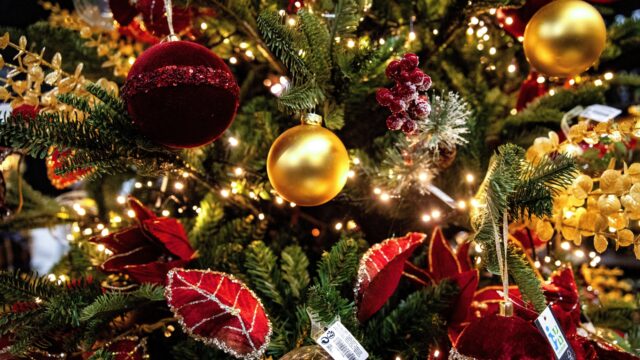 Waar komen onze kersttradities eigenlijk vandaan? 'Het is dynamisch erfgoed'