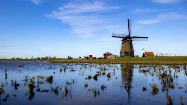 Waarom noemen we Nederland ook wel 'het kikkerlandje'?