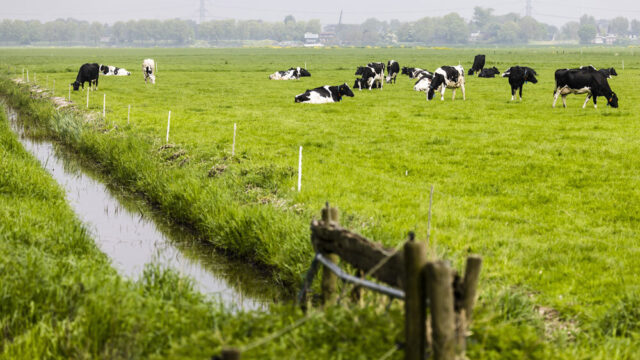 LTO-voorman Van der Tak hint op een Landbouwakkoord