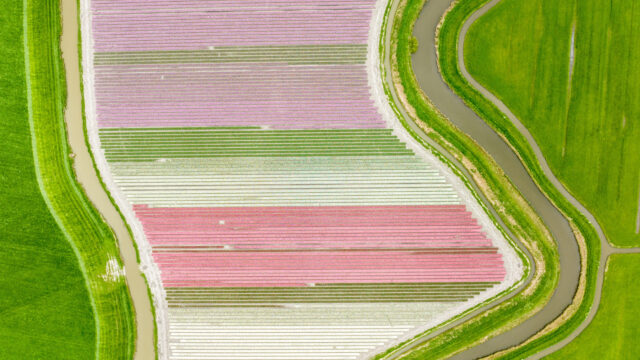 Fotograaf Loek Buter: 'Onze volksaard is terug te zien in ons landschap'