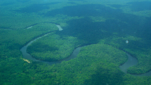 Verborgen klimaatbom in Congo wordt beschreven in 'koolstofkoorts'