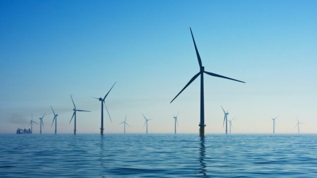 'Wees een ecoist!'