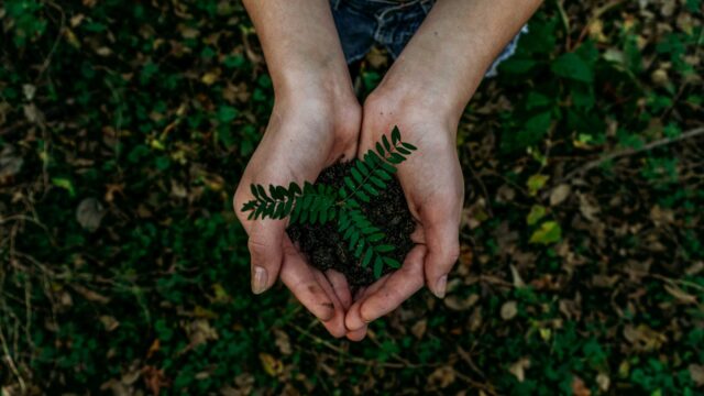Nederlandse overheid moet 'recht op gezond milieu' wettelijk vastleggen