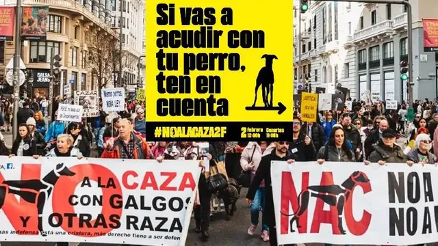 Massaal dumpen van jachthonden in Spanje: protesten in heel Europa