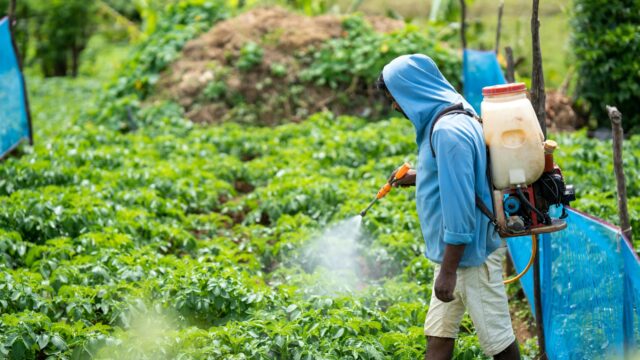 Kritiek op pesticidegebruik leidt tot doodsbedreiging: 'Nederlandse samenleving grijpt te snel naar geweld'