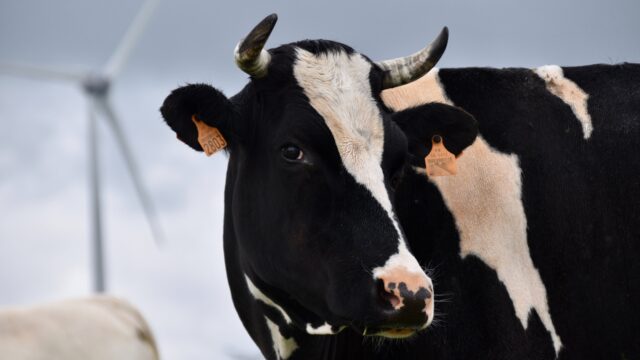 Boer vertelt hoeveel euro verschillende regels hem kosten