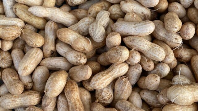 Poeppillen als behandeling tegen pinda-allergie: hoe werkt dat?
