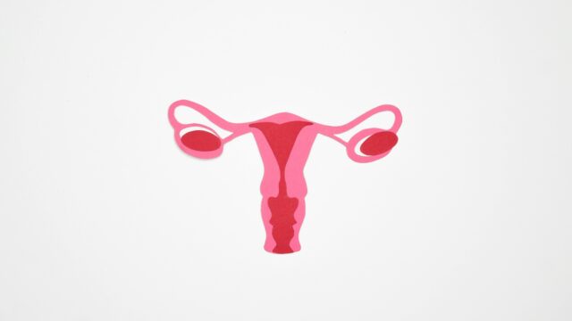 Ivf? Geen Vragen. Sterilisatie? Eerst vier artsen en een psycholoog