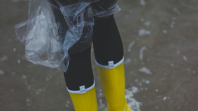 Huidige waterstanden niet abnormaal, combinatie van factoren wel