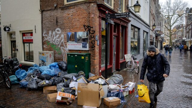Rattenplaag teistert de horeca, maar gif mag niet zomaar: 'Er moet een andere oplossing komen'