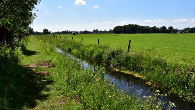 Jelle Reumer bij Vroege Vogels: 'De agrisector maakt meer kapot dan je lief is'