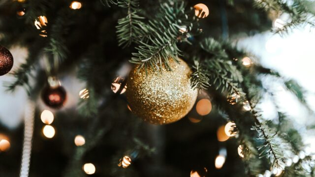 Kerstbomen kunnen na gebruik nog heel nuttig zijn voor de natuur