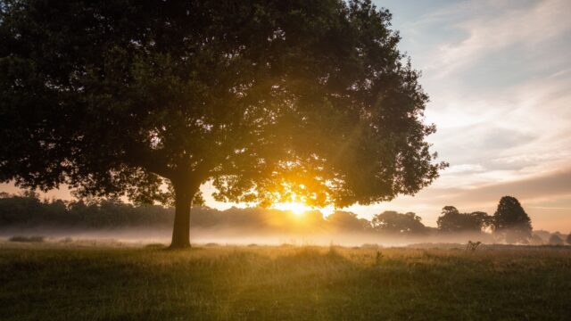 Kom mee naar buiten, zegt Begijn le Bleu: 'Ik wil terug oplossingen zien door te leren van de natuur'