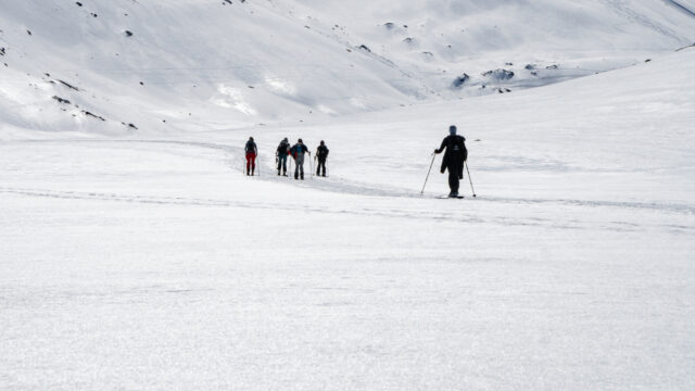 Nepsneeuw: afscheid van de winter