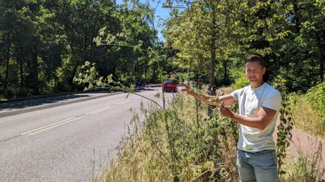 Filosofendoder rukt op langs snelweg