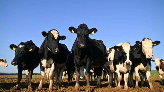 Zijn er nog vragen... over de stikstofimpasse?