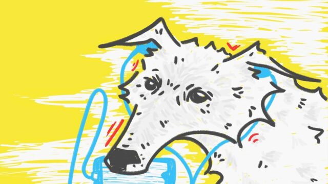 Hoe vrij zijn honden anno 2026?