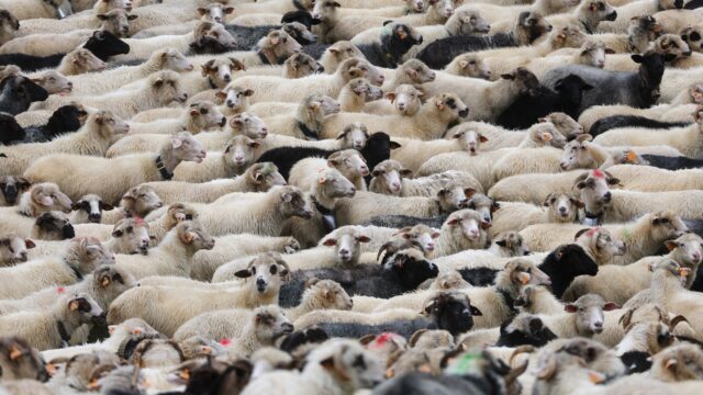 Waar komt het strooiwoord 'überhaupt' vandaan?