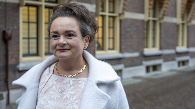 Staatssecretaris Van Huffelen: 'Groen licht van TikTok-CEO voor Nederlandse inzage'
