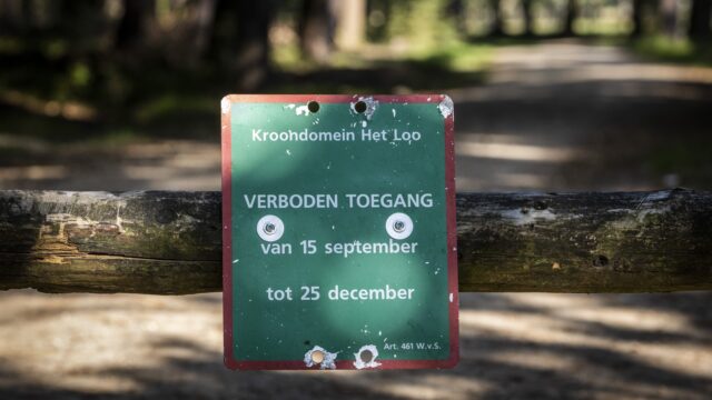 Natuurgebieden afgesloten om te beschermen tegen recreanten: 'Natuur heeft te lijden'