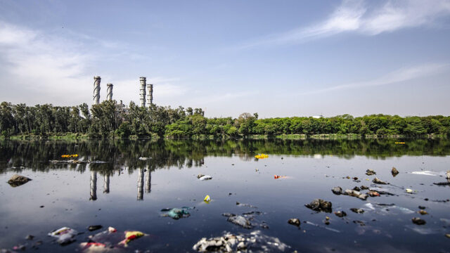 Hoop in tijden van ecocide
