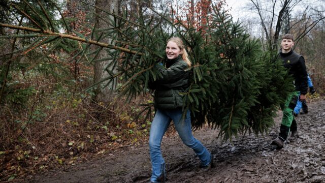 Wordt het een warme of witte kerst? 'Best bizar, het lijkt eerder lente dan december'
