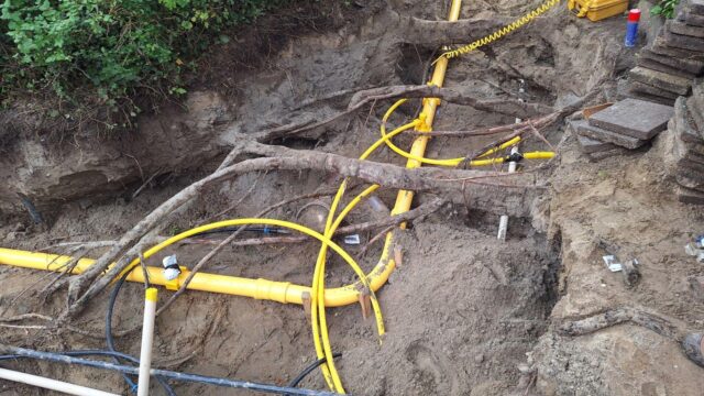 Het is druk onder de grond: bomen, kabels en leidingen vechten om ruimte in de stad