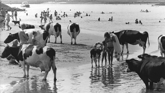 De ongeëvenaarde hittegolf van 1976