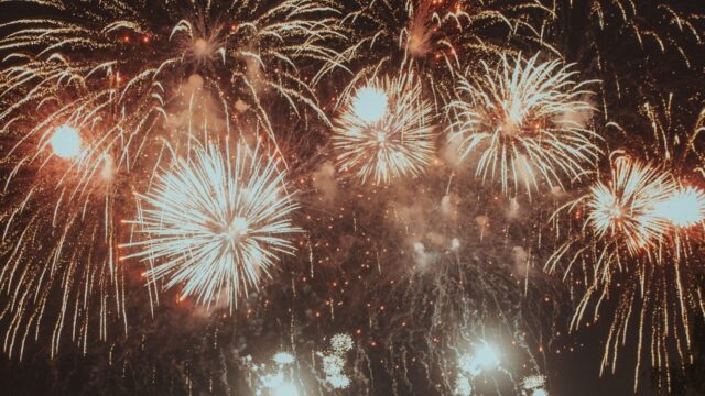 Miljoenen vogels in Nederland hebben jaarlijks last van vuurwerk rond Oud en Nieuw