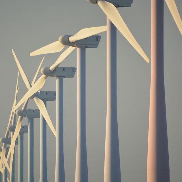 'Wind op zee maakt mij meer dan blij'