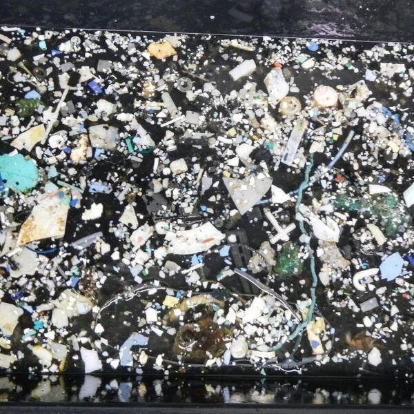 Hoe groot is de plastic soep precies?