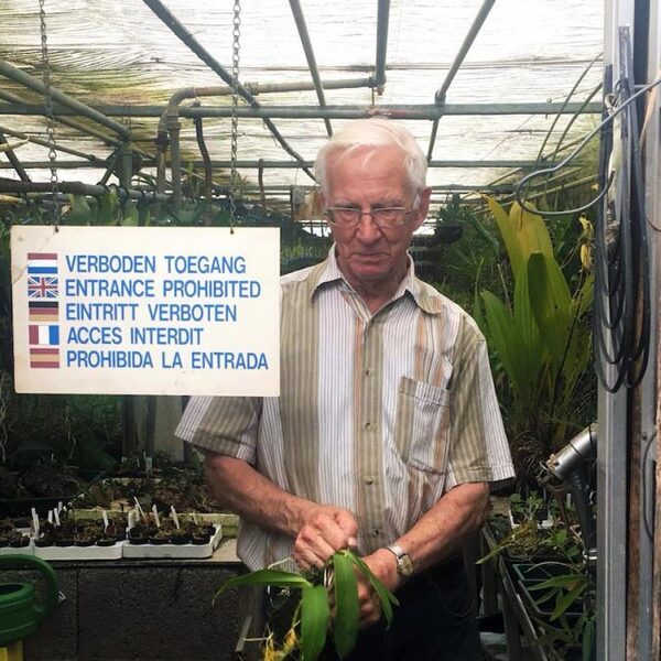 Doorwerken na je pensioenleeftijd: steeds meer ouderen doen het