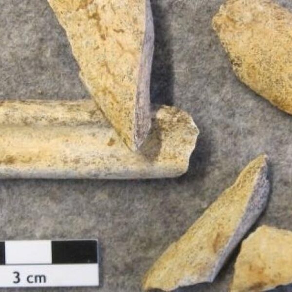 Oeroud eiwit verraadt neanderthaler