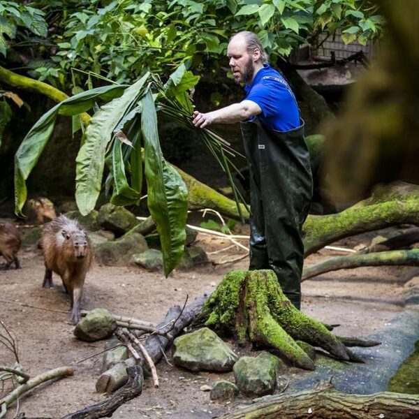 De dierentuin is meer dan aapjes kijken