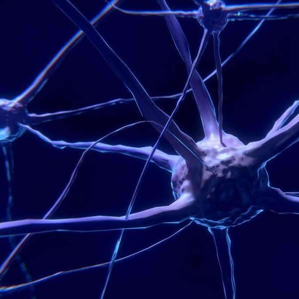 Eerste stap gezet naar nieuw medicijn MS