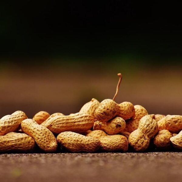 Zijn voedselallergieën straks verleden tijd?