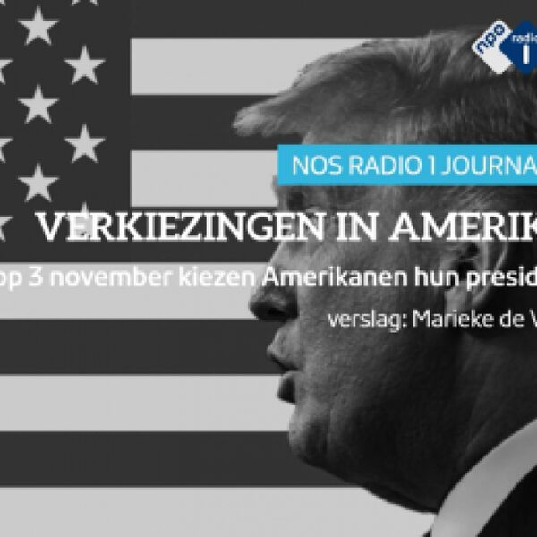 De Stemming in de VS