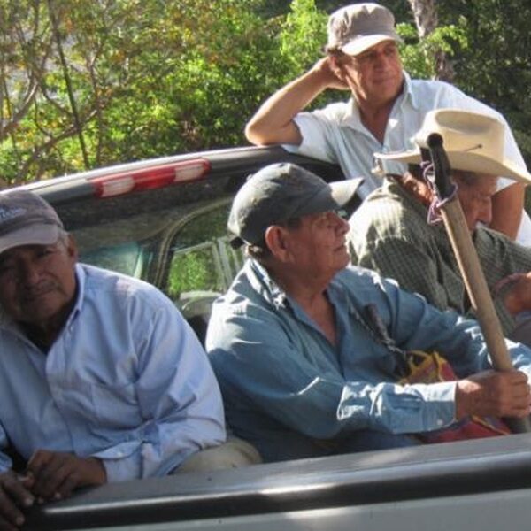 Massagraf in Mexico