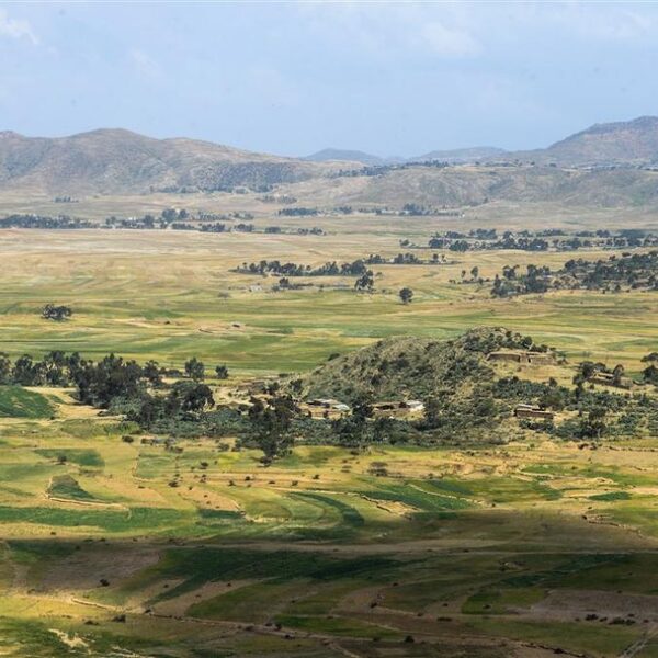 Europa financiert dwangarbeid in Eritrea