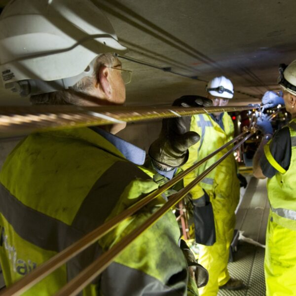 Vluchtelingen kunnen tekort op arbeidsmarkt vullen, maar 'er wordt niet goed gekeken naar talent'