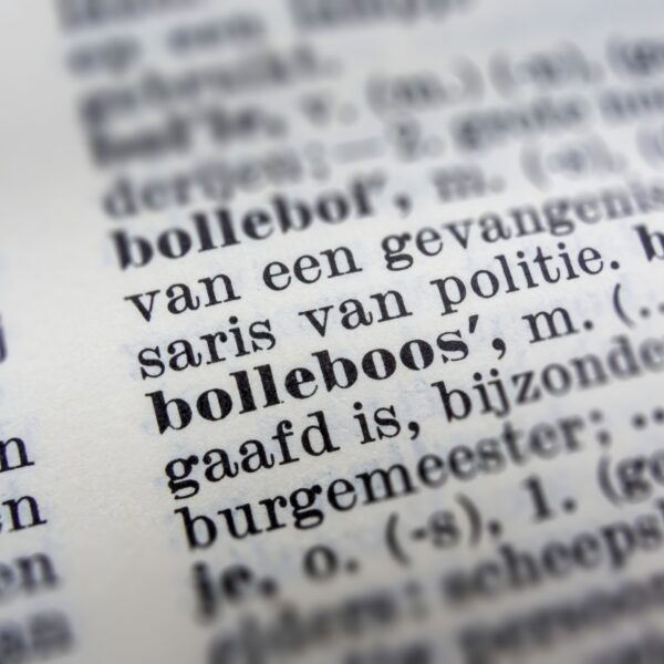 Waarom zijn we niet trots op de Nederlandse taal? 'We onderschatten het heel erg'