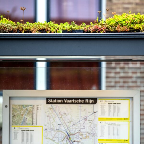 Hebben groene daken in de stad daadwerkelijk een verkoelend effect?