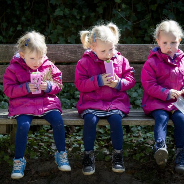 Komen meerlingen tegenwoordig minder vaak voor?