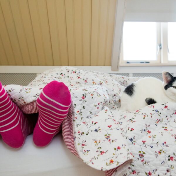 Waarom dromen mensen eigenlijk?