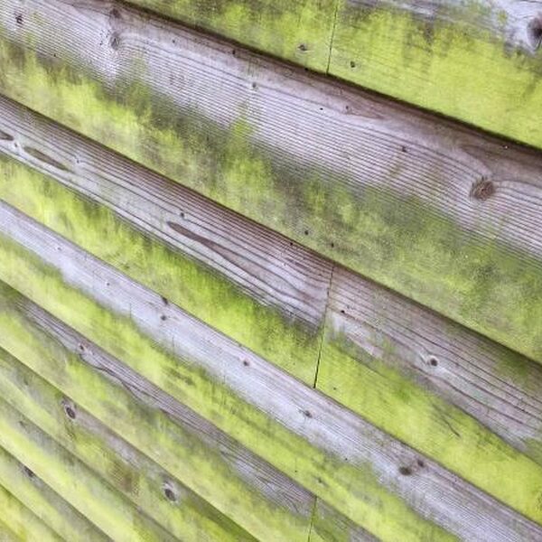 hoe verwijder ik groene aanslag van hout