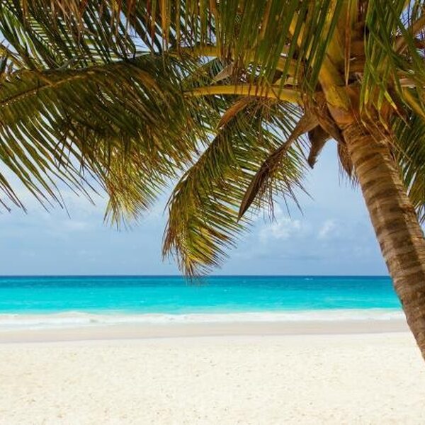 Armoede achter de Caribische palmbomen