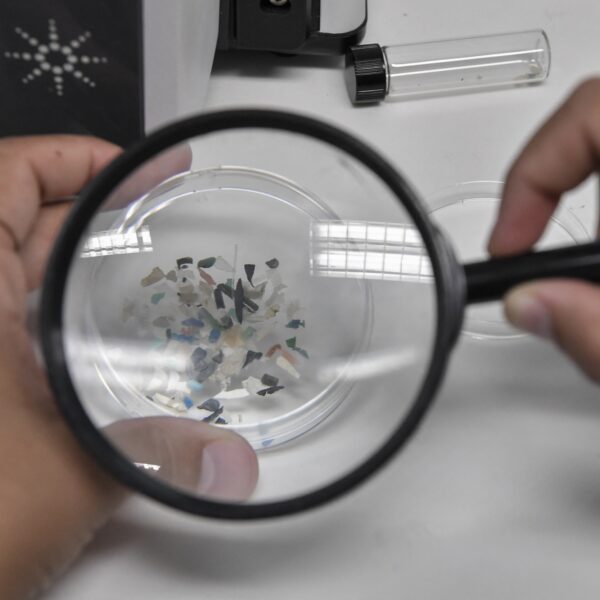 De gezondheidsrisico's van microplastics? 'Lichaam verwerkt het minder snel dan het binnenkomt'