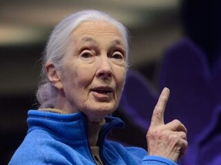 Chimpansee-onderzoekster Jane Goodall blijft hoopvol over Moeder Aarde